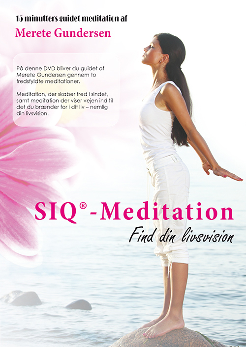 SIQ®- Meditation, Find din livsvision