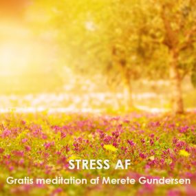 Gratis meditation - Stress af