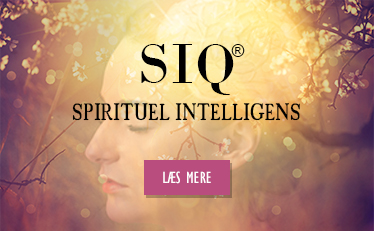 SIQ - Spirituel Intelligens